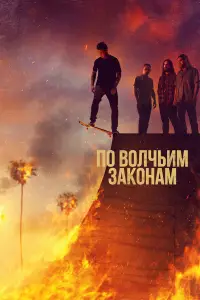 По волчьим законам смотреть